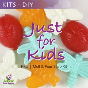 Melt & Pour Soap Kit - Just For Kids!