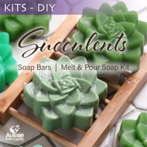 Melt & Pour Soap Kit - Succulents